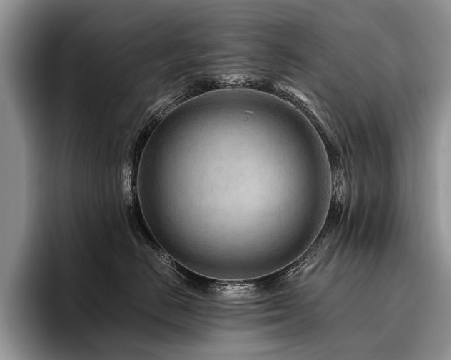 X0000096190670200801181322