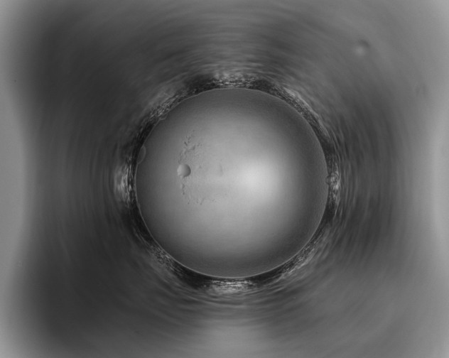 X0000096190671200801181322