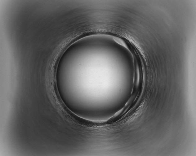 X0000096190673200801181321