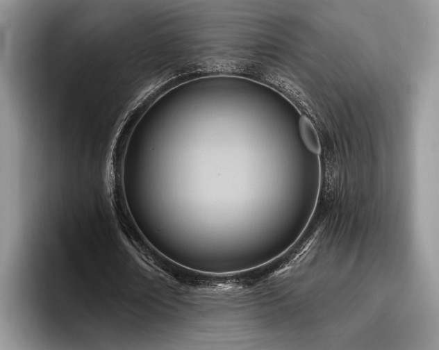 X0000096190674200801181321