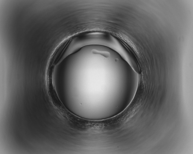 X0000096190676200801181321