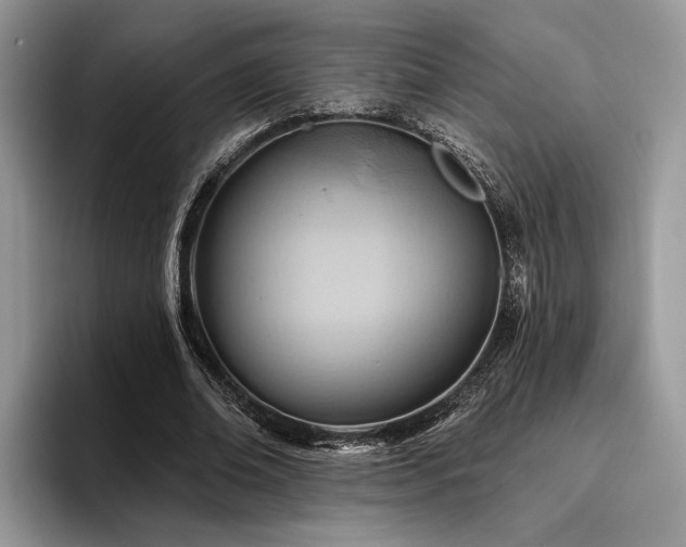 X0000096190678200801181321
