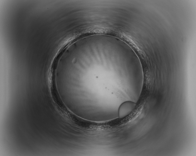 X0000096190679200801181321