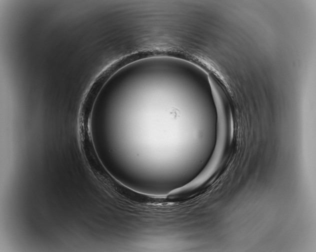 X0000096190680200801181321