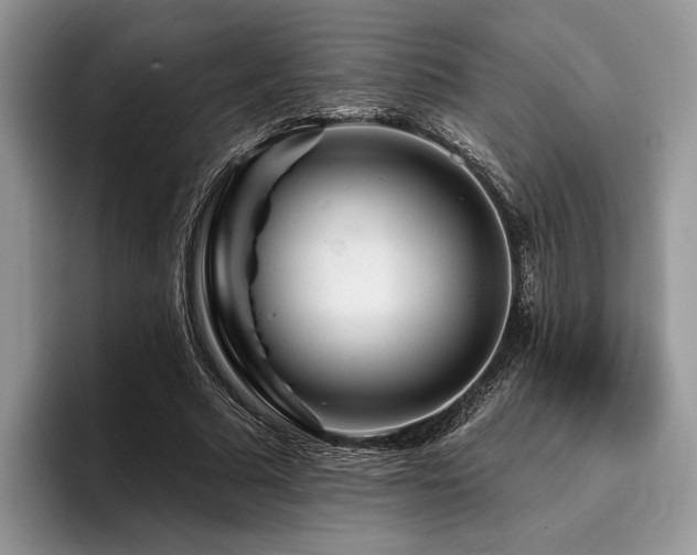X0000096190681200801181321