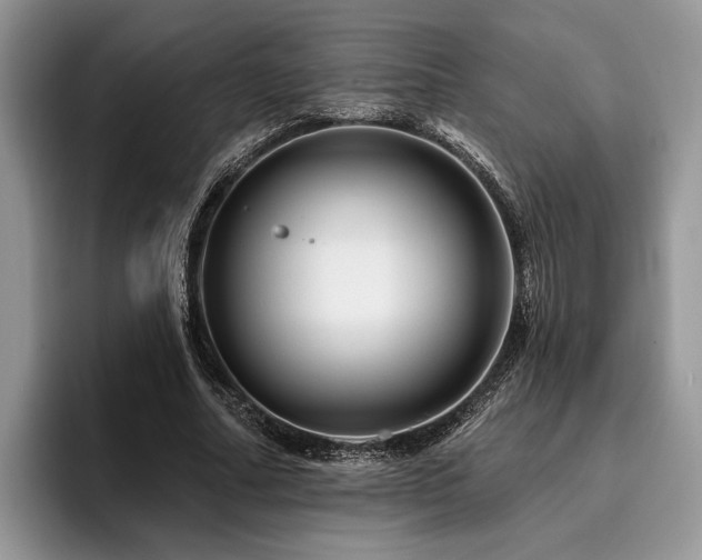 X0000096190682200801181321
