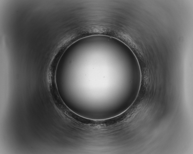 X0000096190683200801181321