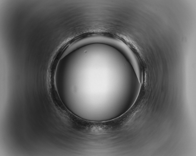 X0000096190684200801181321