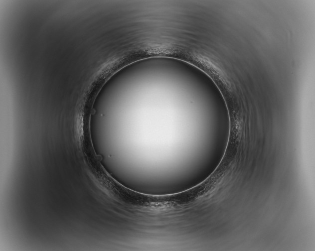 X0000096190686200801181321