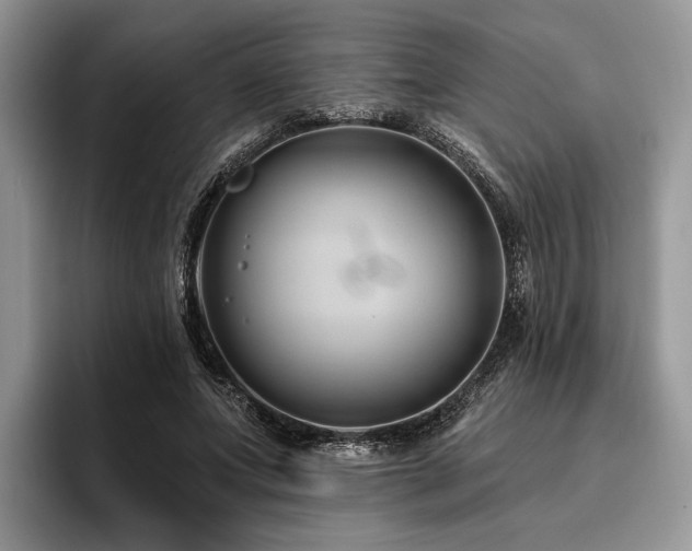 X0000096190687200801181321