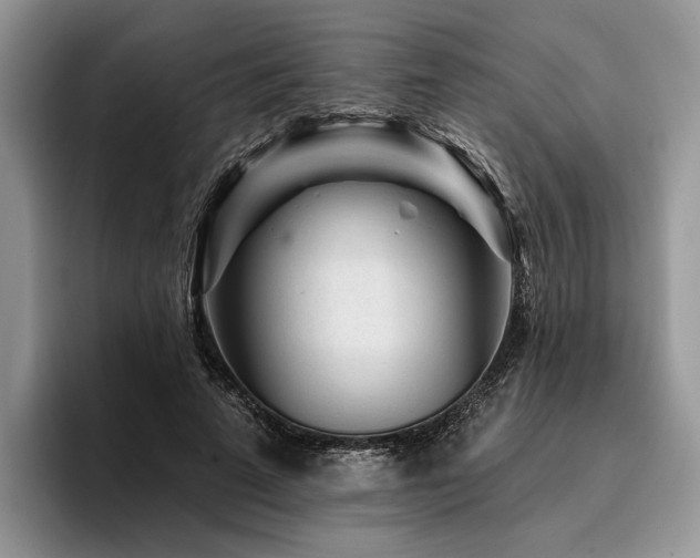 X0000096190689200801181321