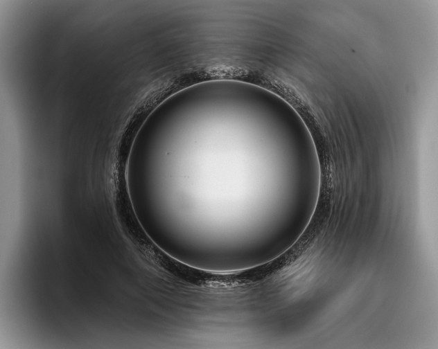 X0000096190690200801181321