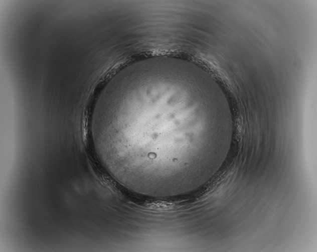 X0000096190691200801181321