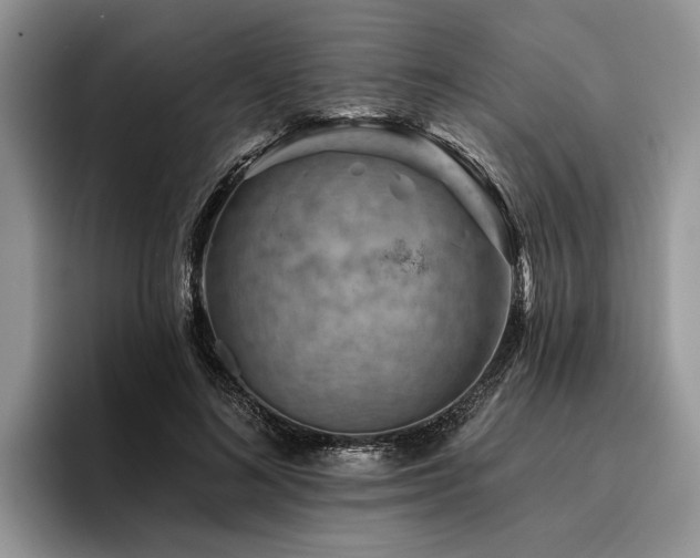 X0000096190692200801181321