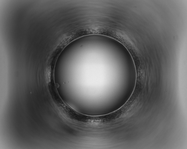 X0000096190694200801181321