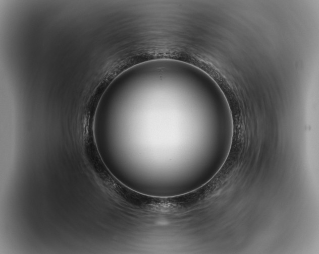 X0000096190695200801181321