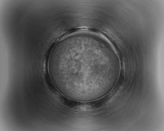 X0000096190696200801181321