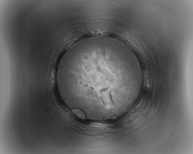 X0000096190699200801181321