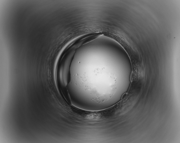 X0000096190700200801181321