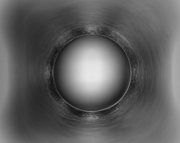 X0000096190702200801181321