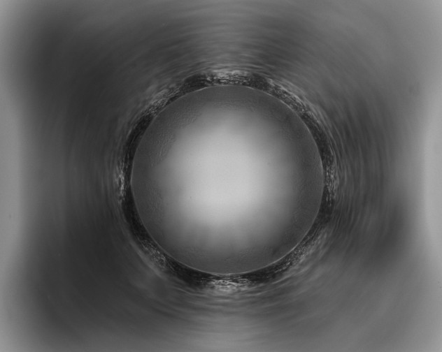X0000096190703200801181321