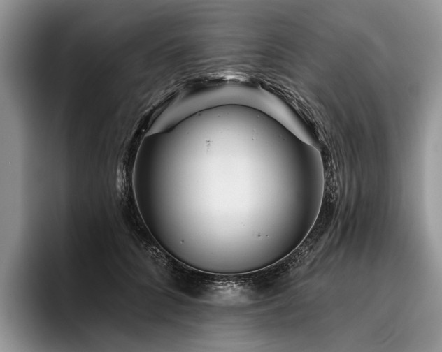 X0000096190704200801181321