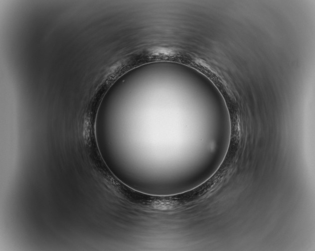 X0000096190708200801181321
