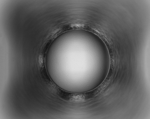 X0000096190709200801181321