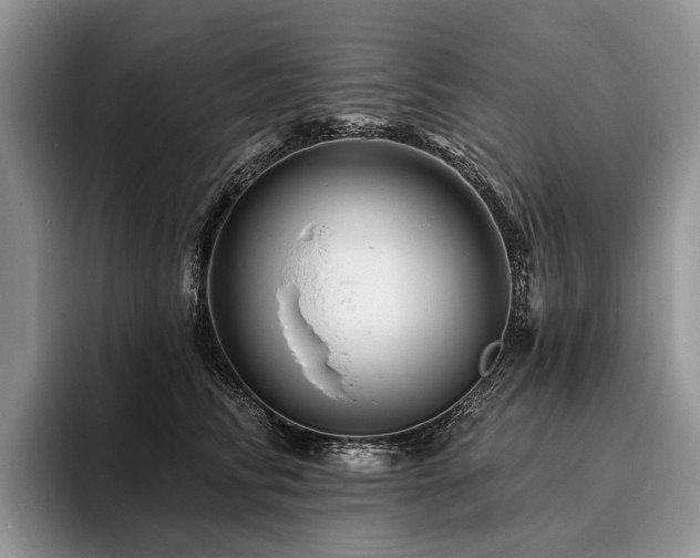 X0000096190710200801181321