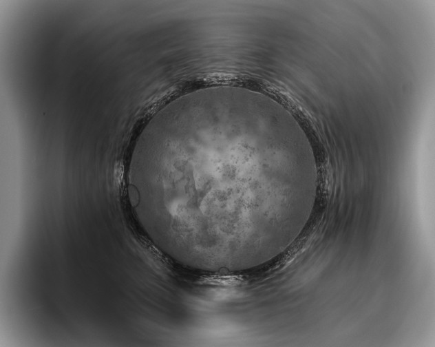 X0000096190711200801181321