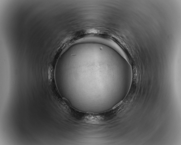 X0000096190712200801181321