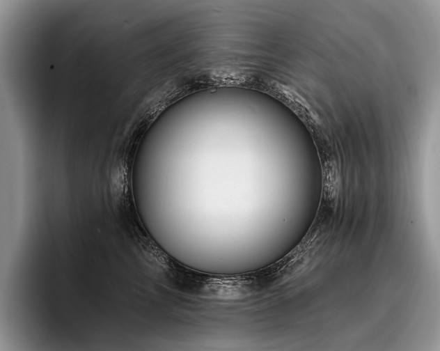 X0000096190713200801181321