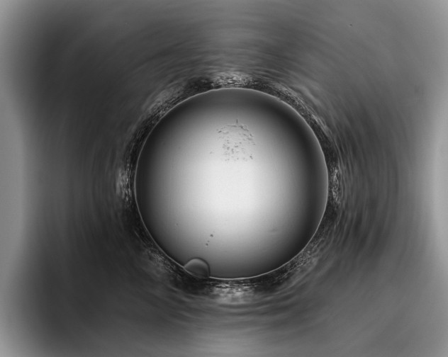 X0000096190714200801181321