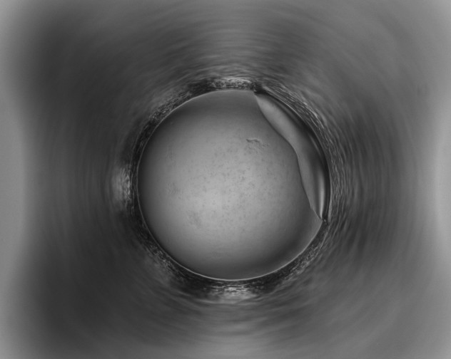 X0000096190715200801181321