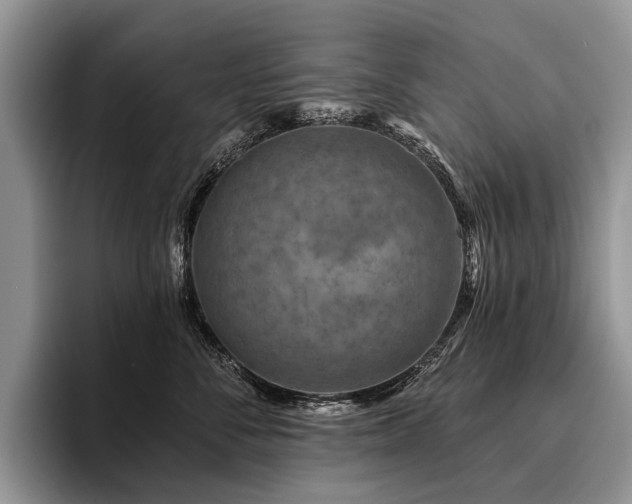X0000096190716200801181321