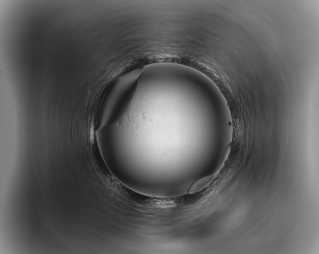 X0000096190719200801181321