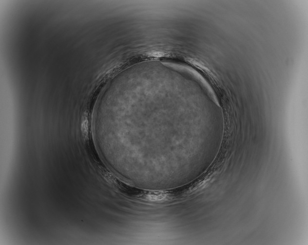 X0000096190720200801181321