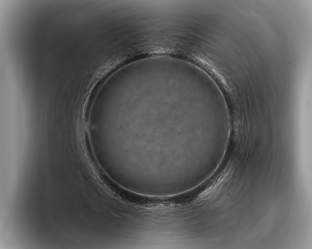 X0000096190721200801181320