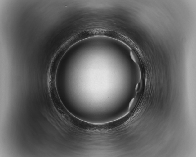 X0000096190722200801181320