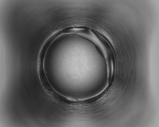 X0000096190724200801181320