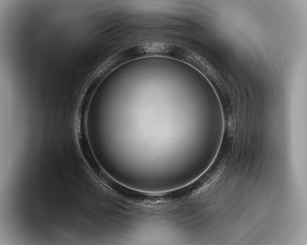 X0000096190725200801181320
