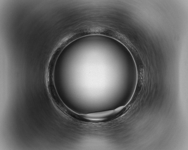 X0000096190726200801181320