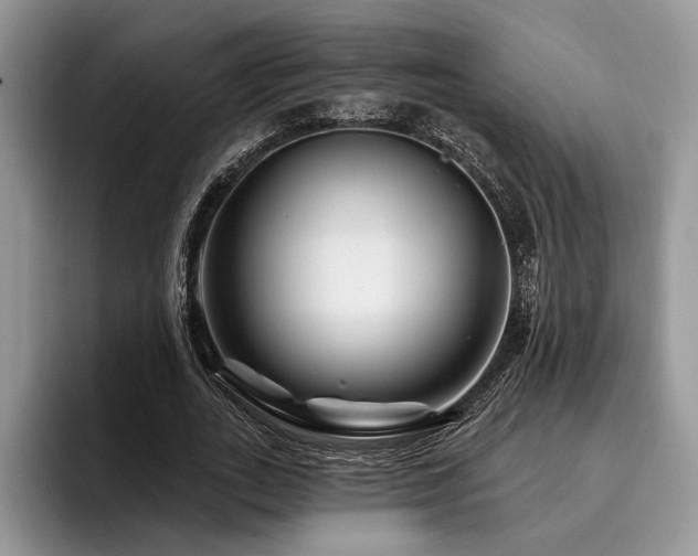 X0000096190727200801181320