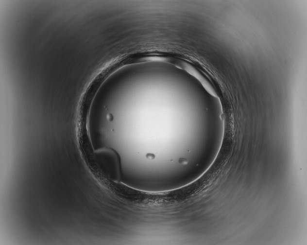 X0000096190728200801181320