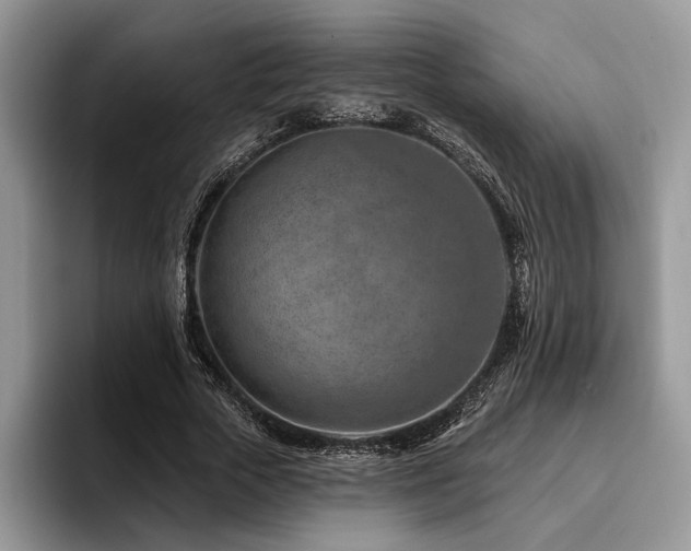 X0000096190729200801181320