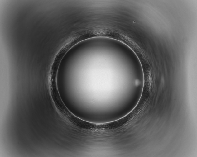 X0000096190730200801181320