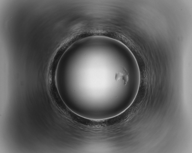 X0000096190731200801181320