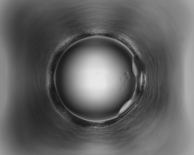 X0000096190732200801181320
