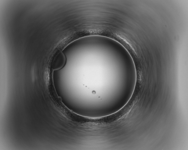 X0000096190733200801181320