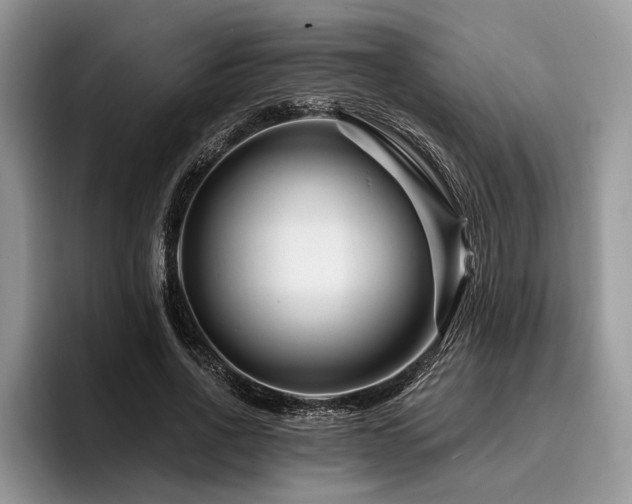 X0000096190734200801181320
